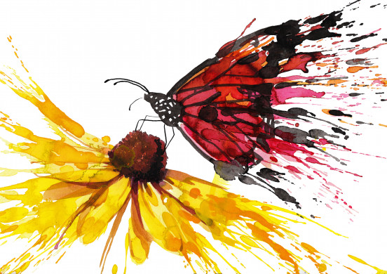 Butterfly Gathering Nectar