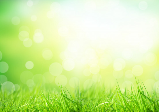 Green grass