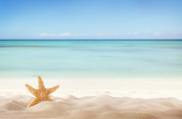 Summer beach with starfish