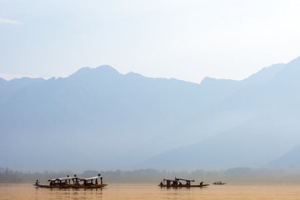 Peacefully Dal lake