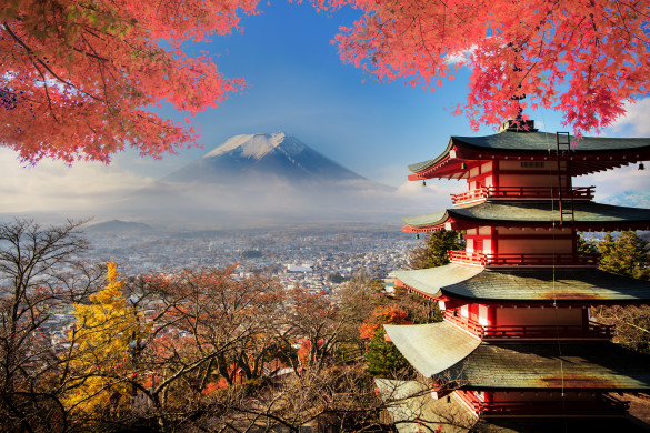 Mt. Fuji with fall colours 