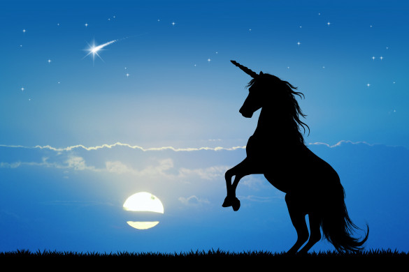 Unicorn at sunset
