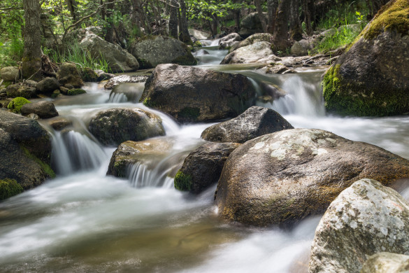 Springtime Rapids