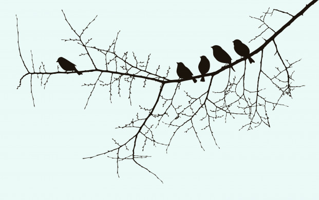 Birds on a twig illustration