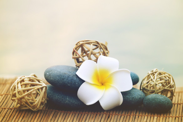 Pebbles and fragipani flower