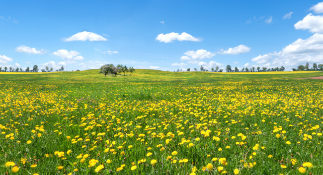 Peaceful landscape 