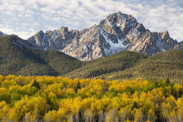 Colorado Autumn