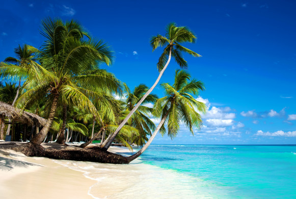 Tropical beach in caribbean sea