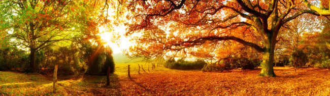 Panoramic Autumn 