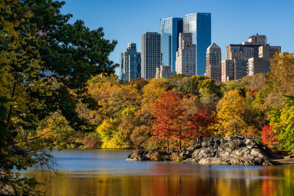 Fall in Central Park