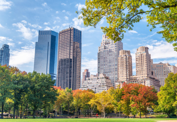 Foliage season in the Central Park