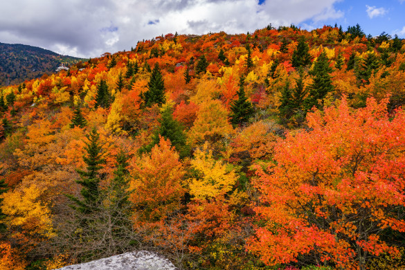 Fall off The Blue Ridge Parkway
