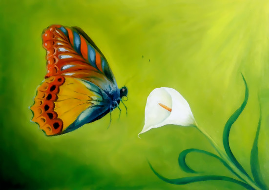 Flying butterfly on green background 