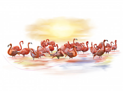 Pink Flamingos Watercolour