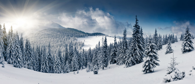 White Winter