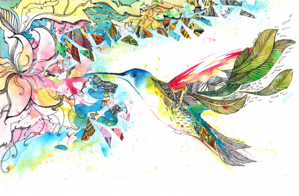 Colorful hummingbird