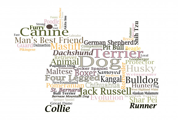 Dog word cloud illustration