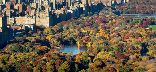 The aerial view of Central Park 