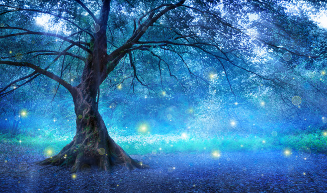 Fairy Tree