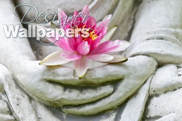 Buddha hands holding flower