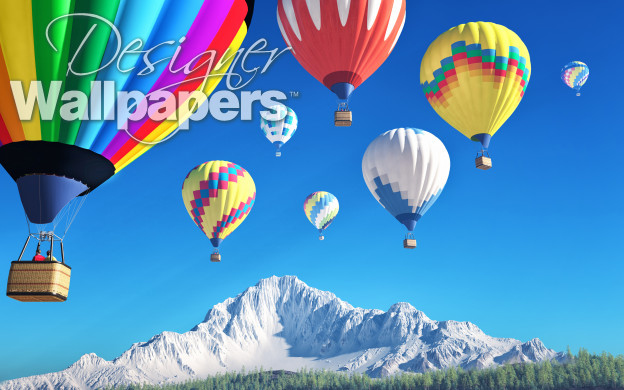 Brightly colored hot air balloons