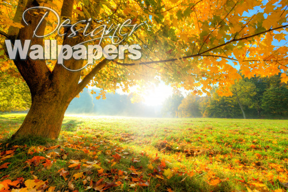 Autumn Tree - Nature - Categories - Wall Murals | Wonder Wall