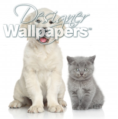 Cute dog and cat together