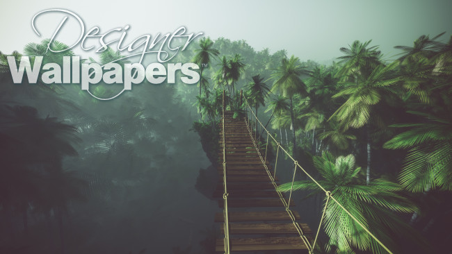 Rope bridge in misty jungle with palms
