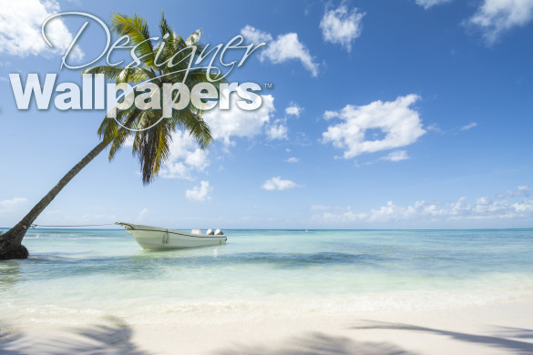 Idealic Caribbean coastline with boat