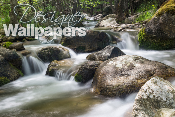 Springtime Rapids