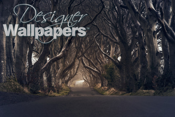 The Dark Hedges