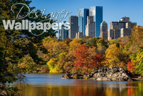 Fall in Central Park