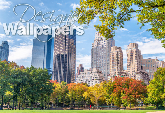 Foliage season in the Central Park