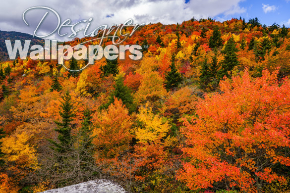 Fall off The Blue Ridge Parkway