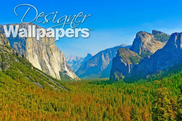 Yosemite National Park