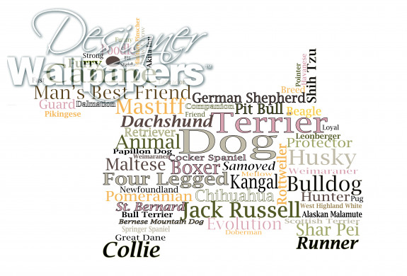 Dog word cloud illustration