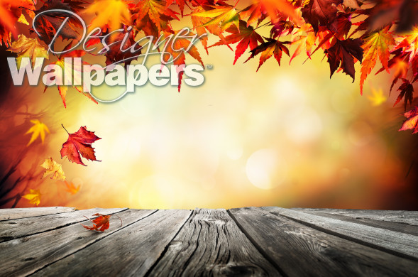 Autumn background with red leaves