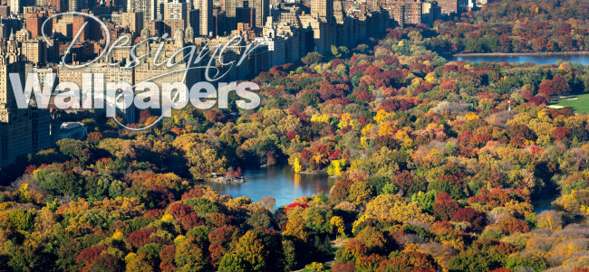 The aerial view of Central Park 