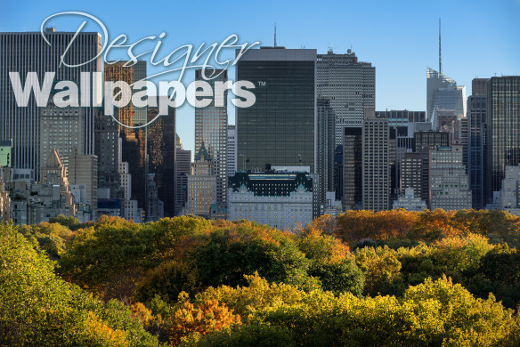 Central Park and Manhattan skyscrapers