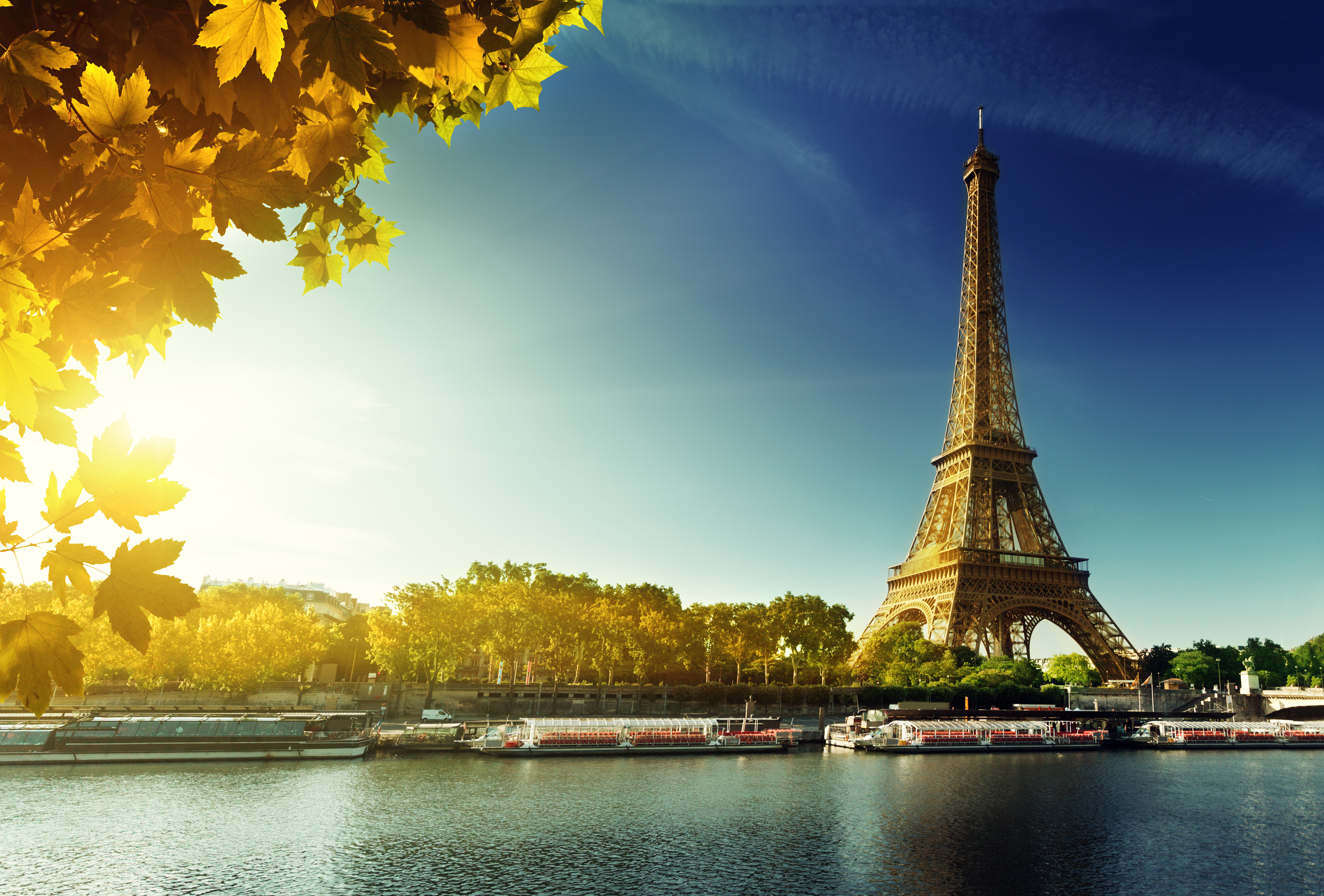 Seine in Paris with Eiffel tower in autumn season Landmarks Architecture Categories Wall