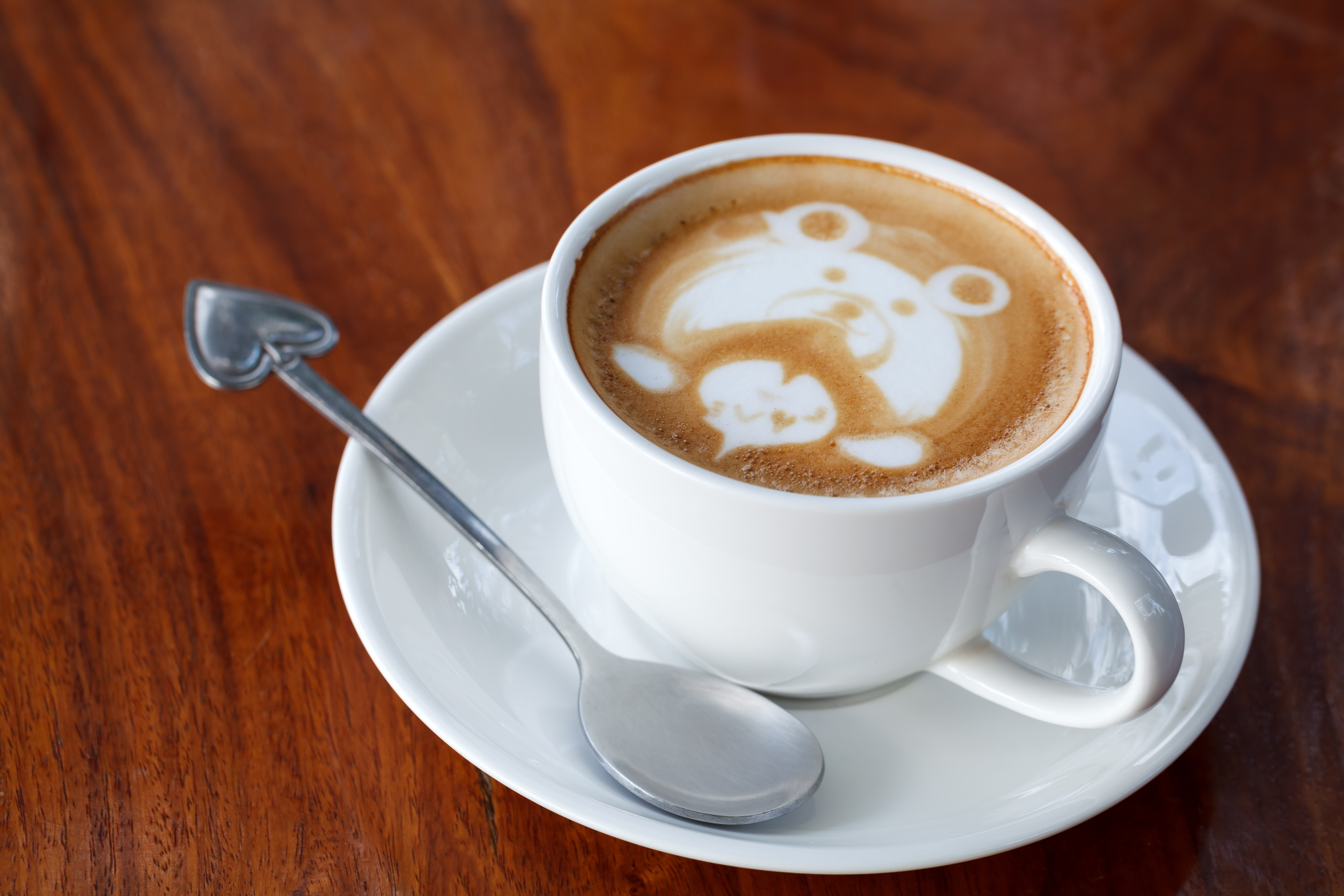 A cup of latte art coffee like face bear - White - Colours - Wall