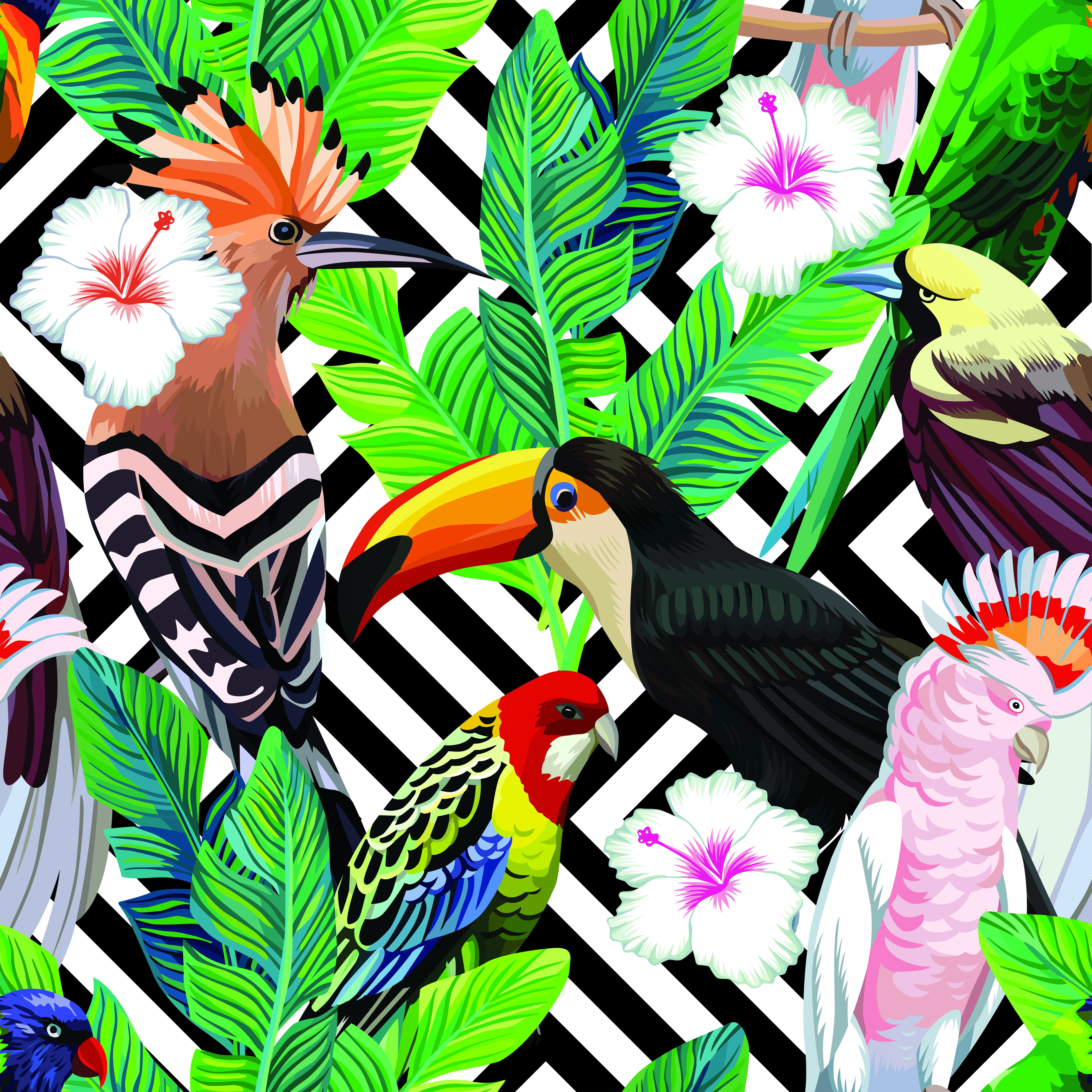 Tropical Birds Birds Animals Categories Canvas Prints