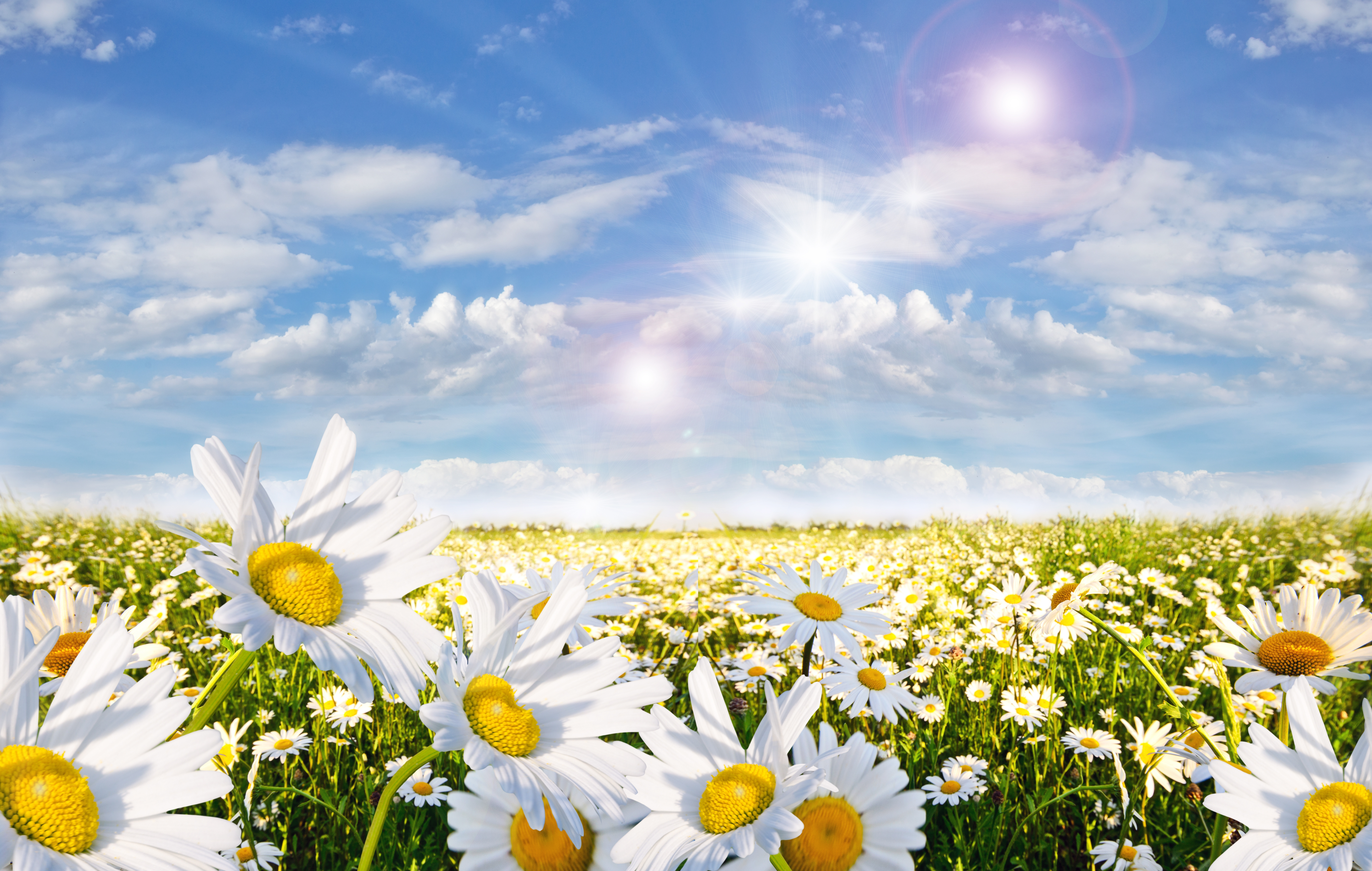 8 Springtime Springtime - Seasons - Nature - Categories | Wonder Wall