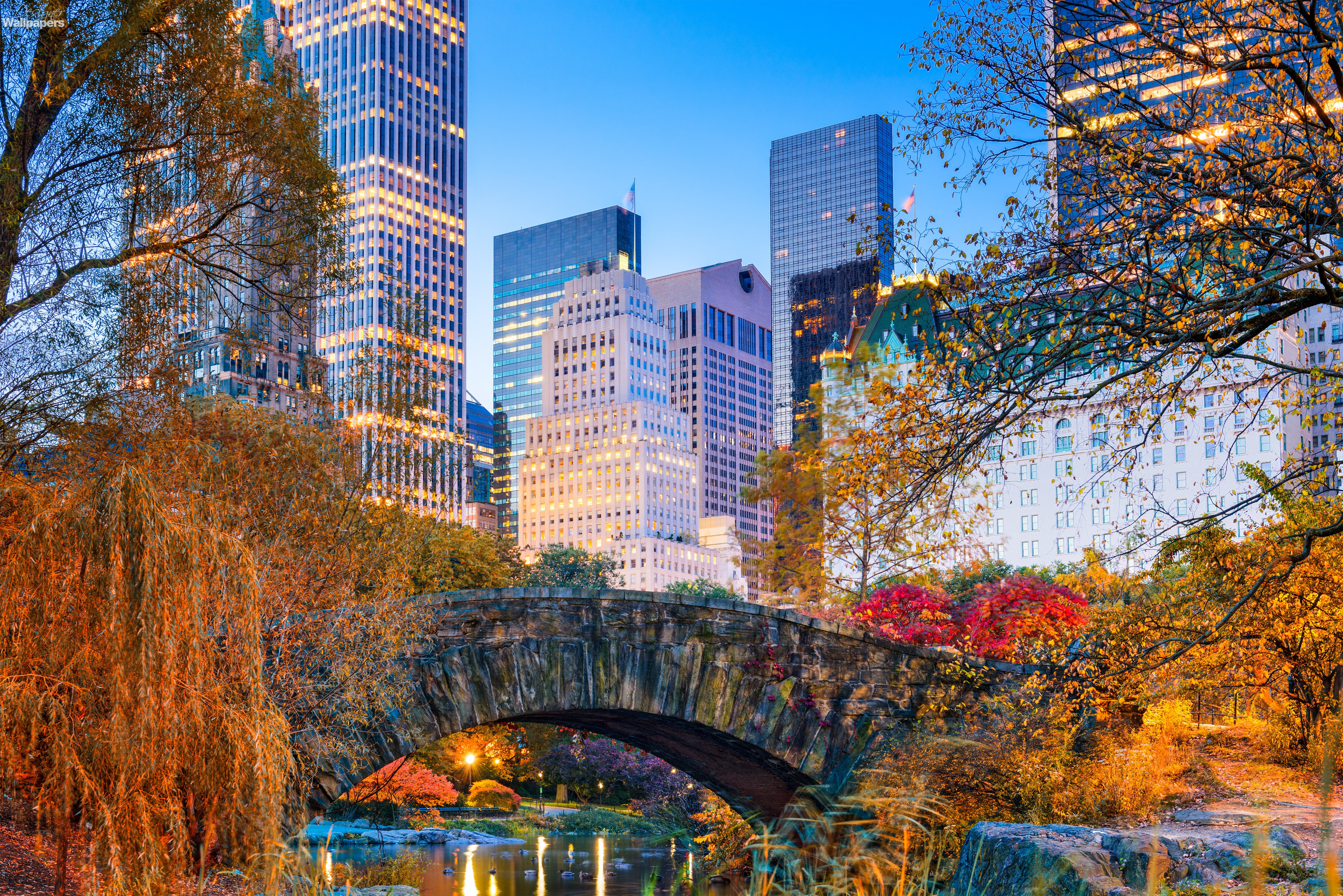 Central park wallpaper sale