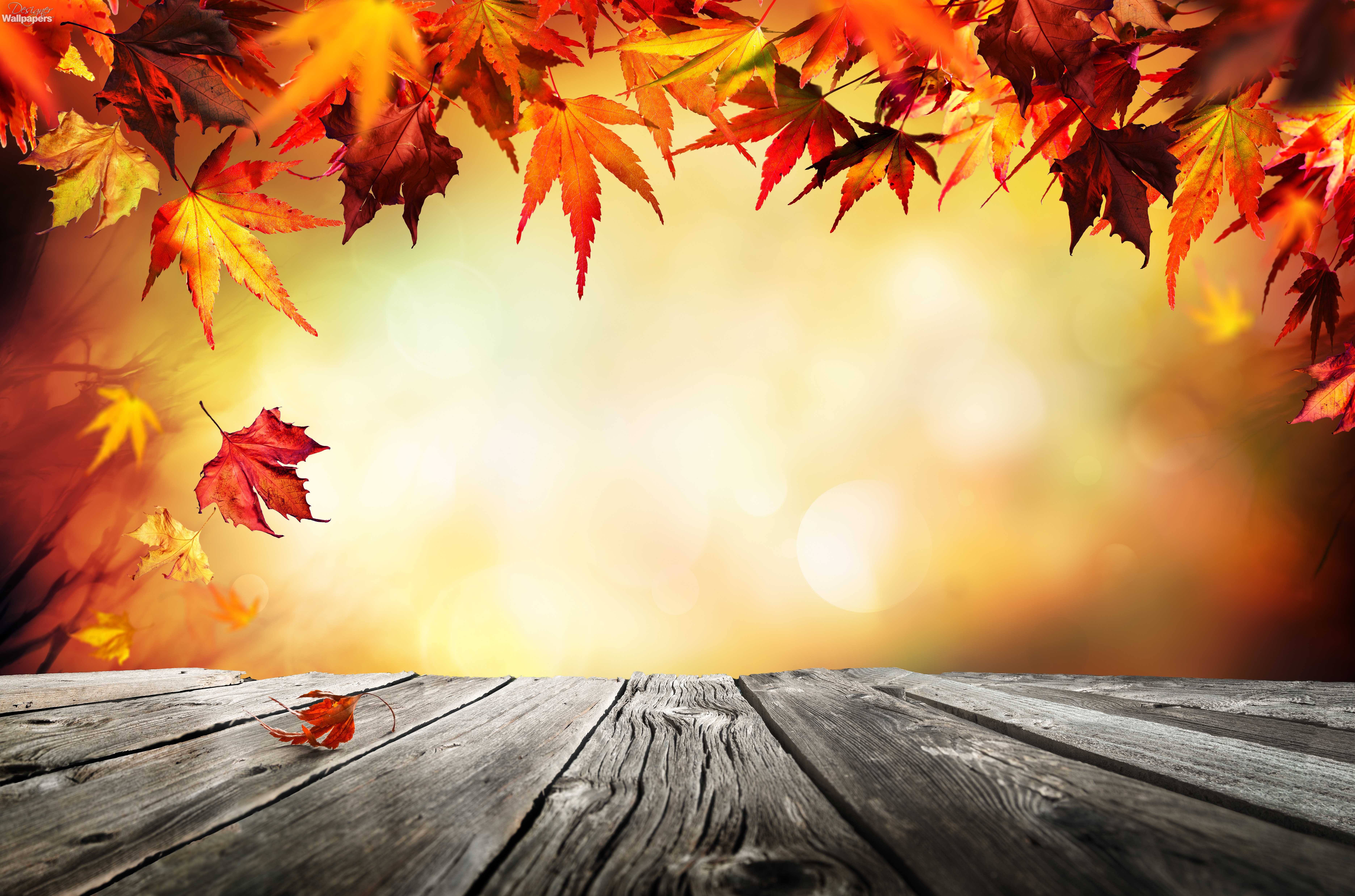 Autumn hotsell background images