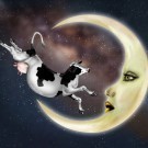 Cow Jumping Over the Moon