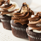 Chocolate Cupcake