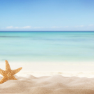 Summer beach with starfish