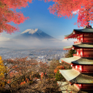 Mt. Fuji with fall colours 