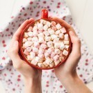 Hands holding hot chocolate with marshmallows in cup